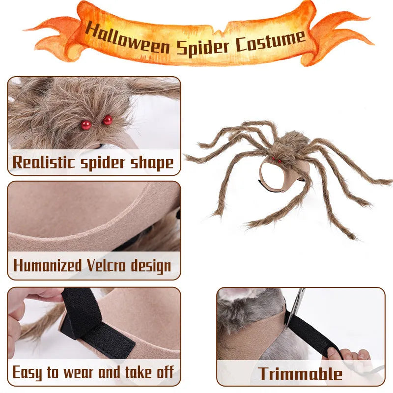 Grey spider Halloween costume for medium-sized dog with full-body coverage