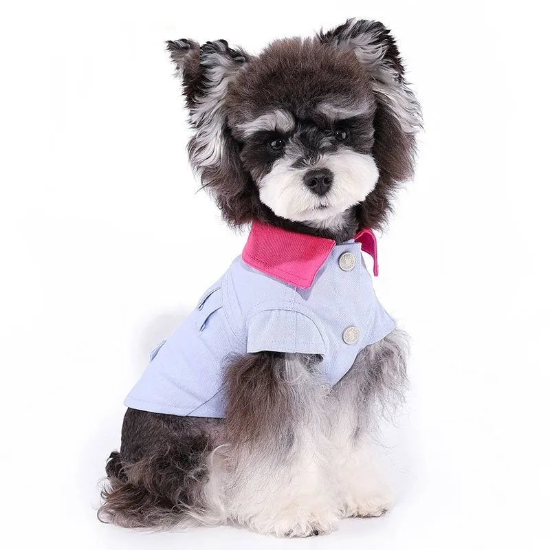 Blue and purple polyester dog harness with front traction ring on small dog