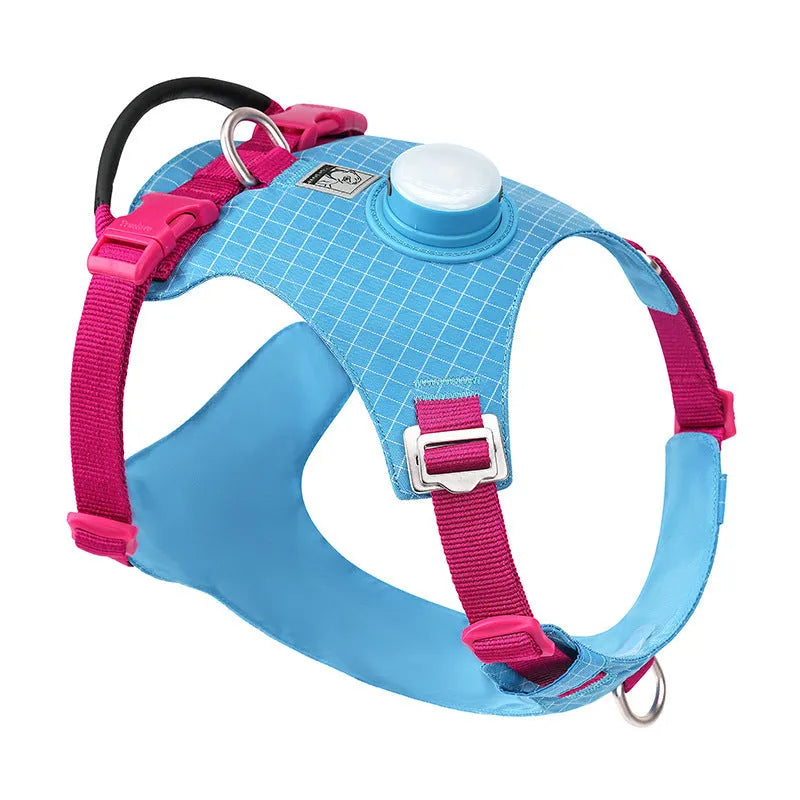 Light purple nylon dog chest harness with built-in LED light on a dog, showing adjustable straps and reflective trim.