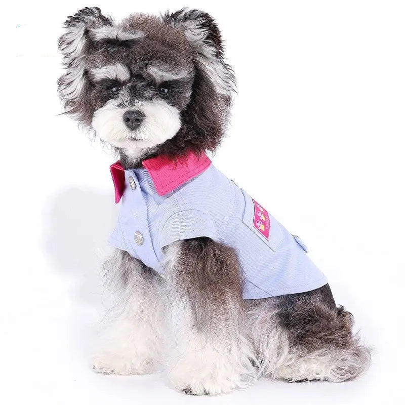 Blue and purple polyester dog harness with front traction ring on small dog