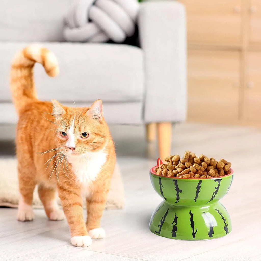 Ceramic elevated cat bowl in orange, pitaya, or watermelon pattern with a tilted, wide design.