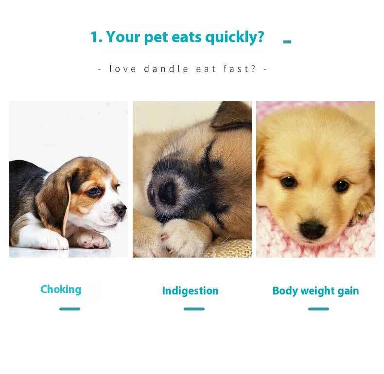Silicone pet slow feeding bowl anti-choke in blue, grey or purple with OPP independent packaging