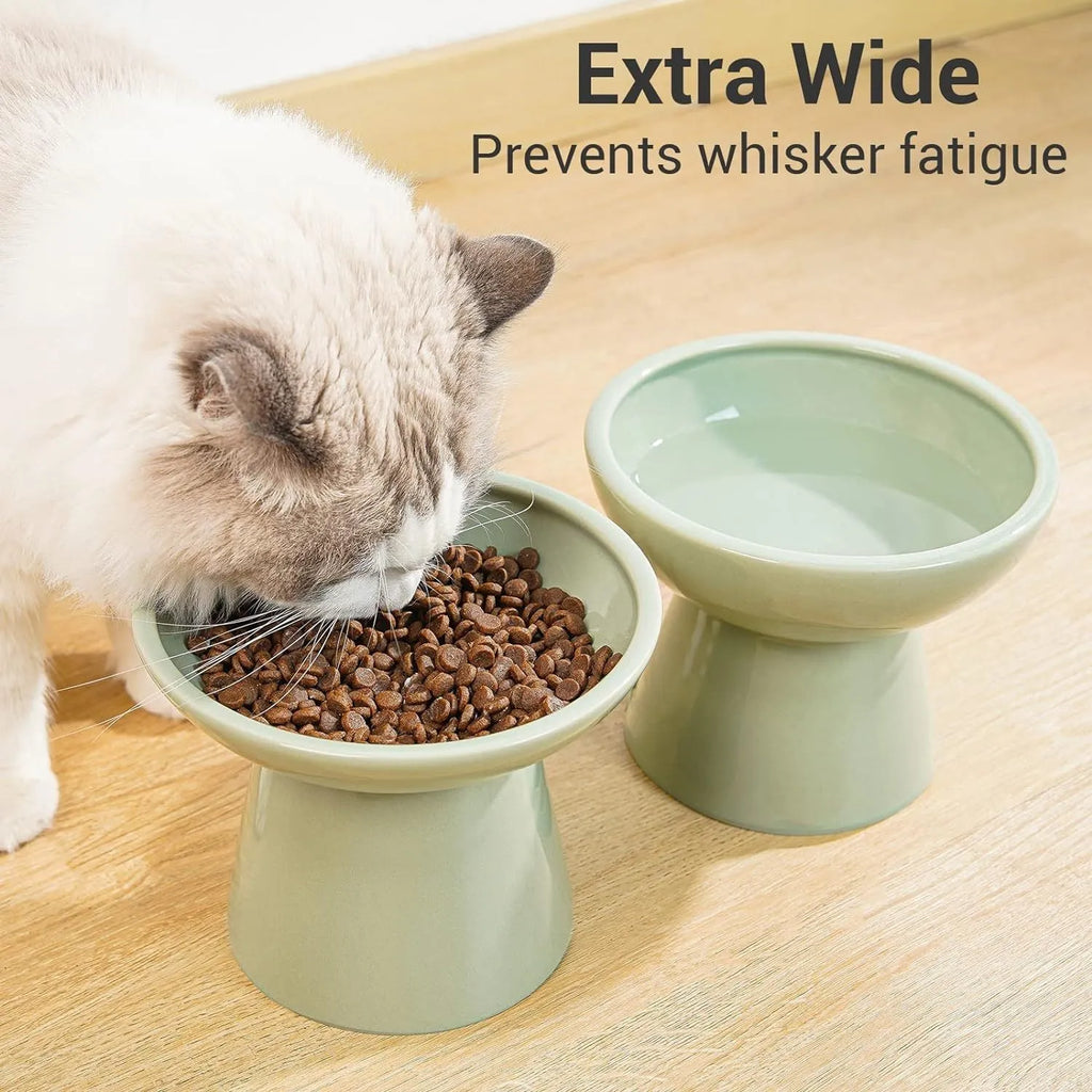 Extra wide elevated ceramic cat bowl set in blue colour showing food and water bowls