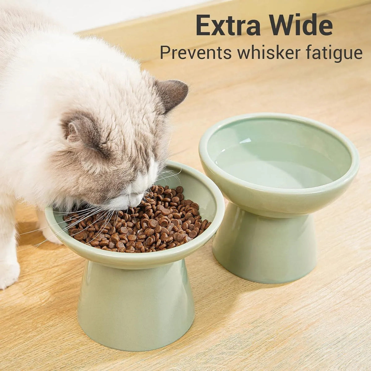 Extra wide elevated ceramic cat bowl set in blue colour showing food and water bowls