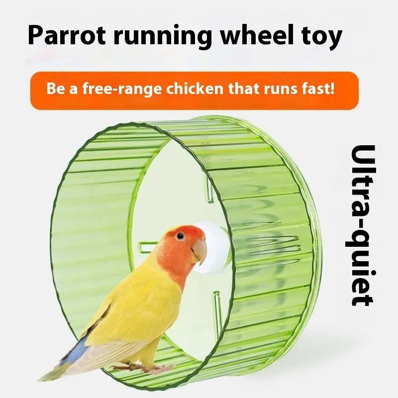 Parrot running wheel toy in transparent plastic showing rotating treadmill design for bird exercise