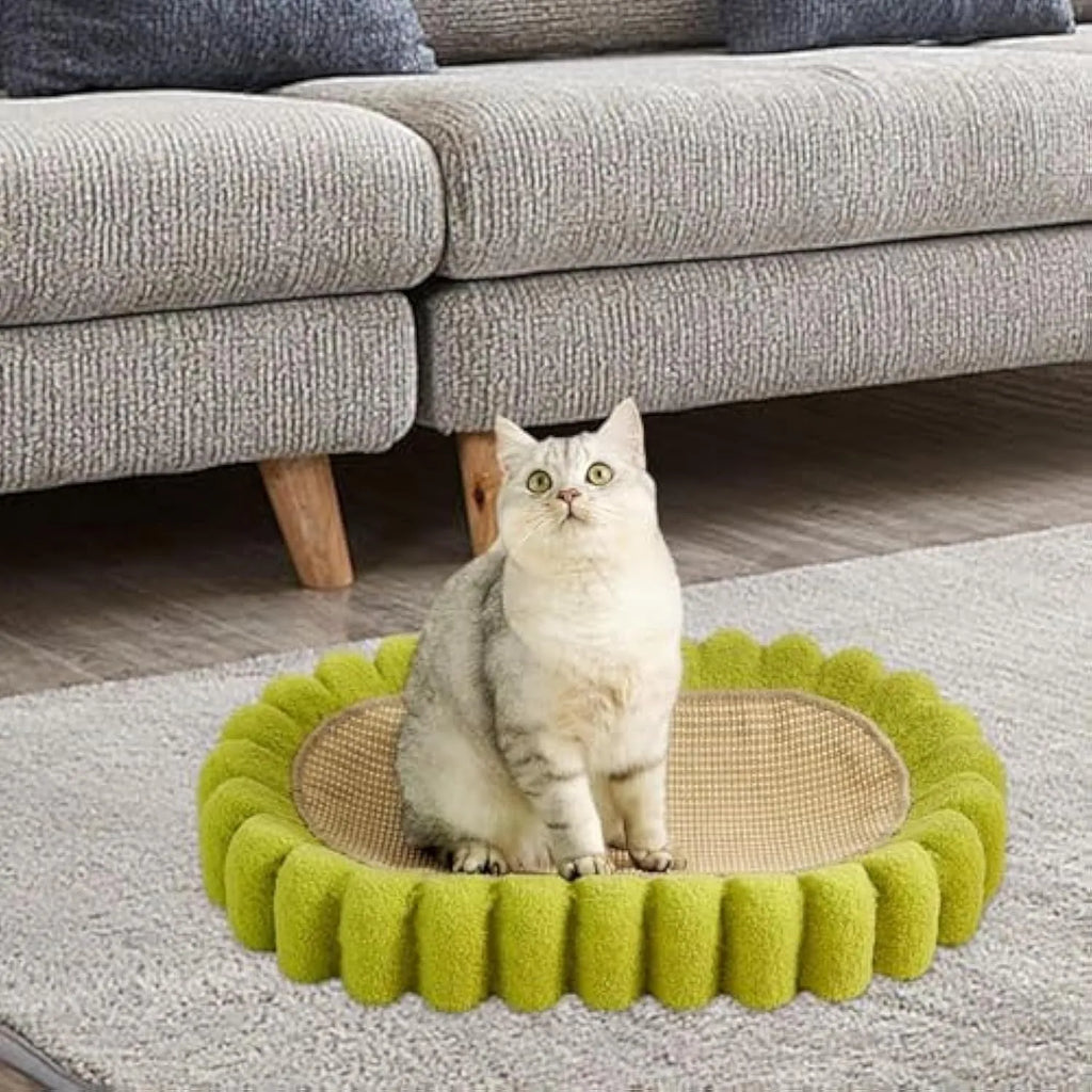 Green oval cat scratcher bed with sisal surface, showing bowl shape for scratching and sleeping
