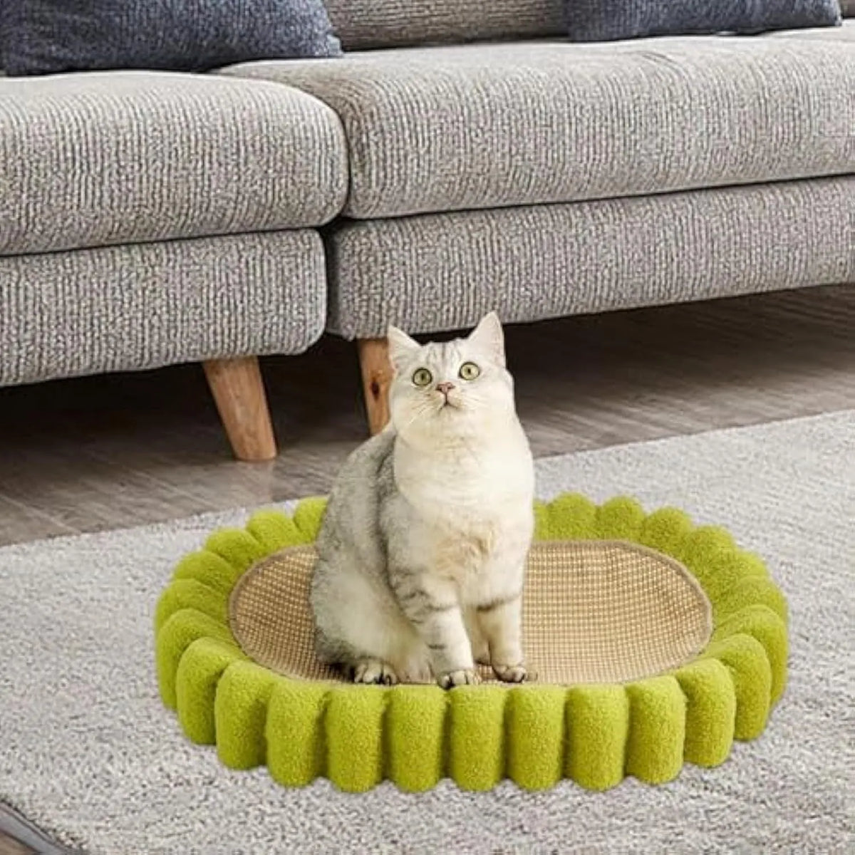 Green oval cat scratcher bed with sisal surface, showing bowl shape for scratching and sleeping