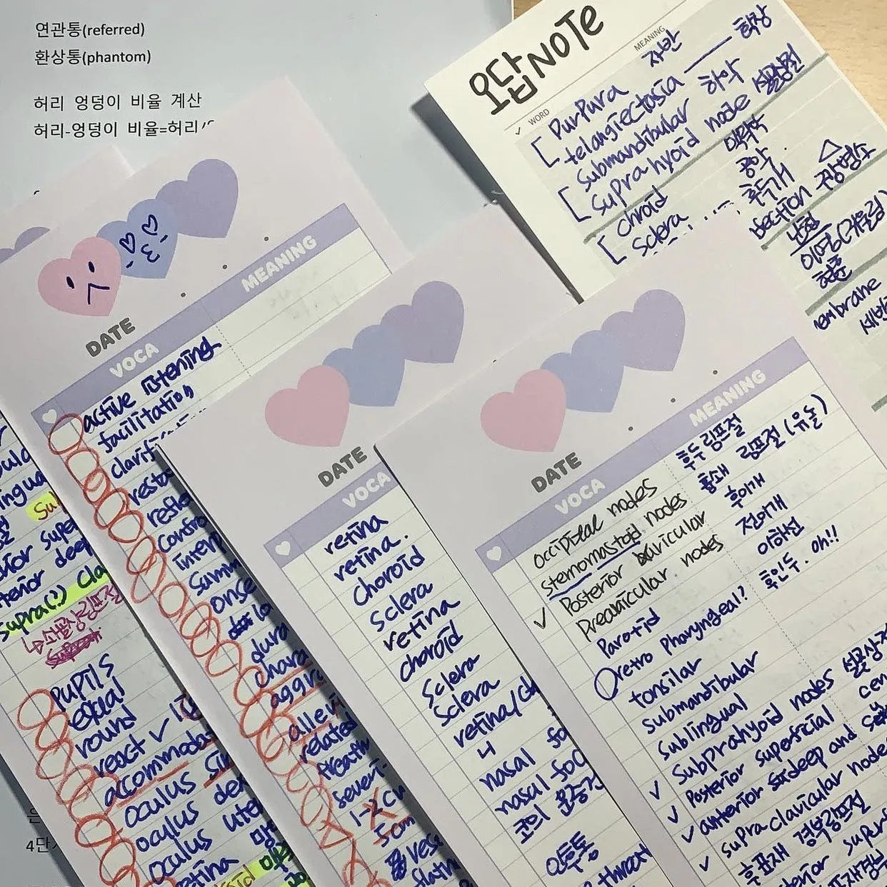 Vertical English vocabulary learning notepad in B5 half size with double-sided printing