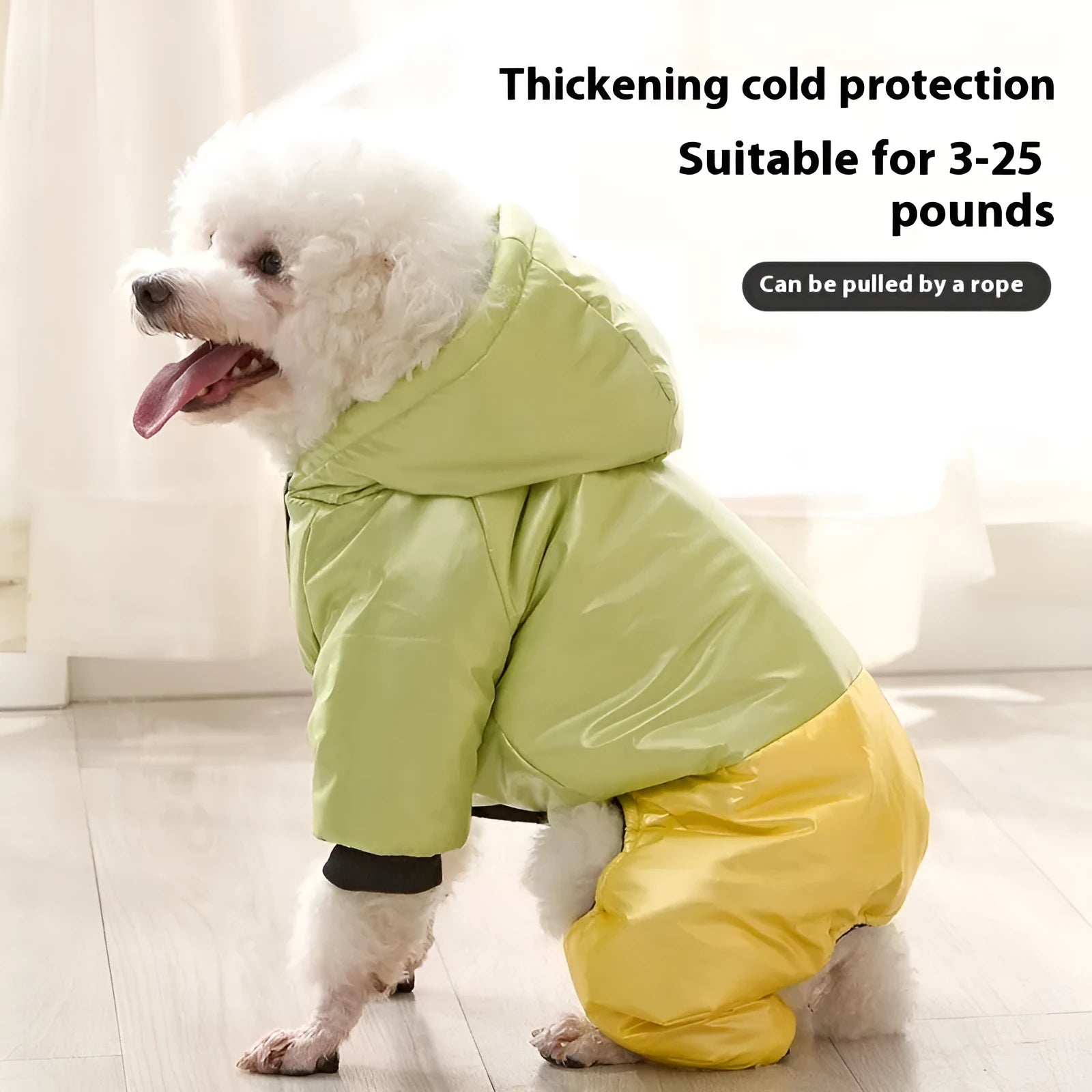 Green waterproof cotton-padded dog coat with four-legged design on medium-sized dog