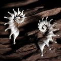 Alloy conch stud earrings with exaggerated three-dimensional shape and matte finish