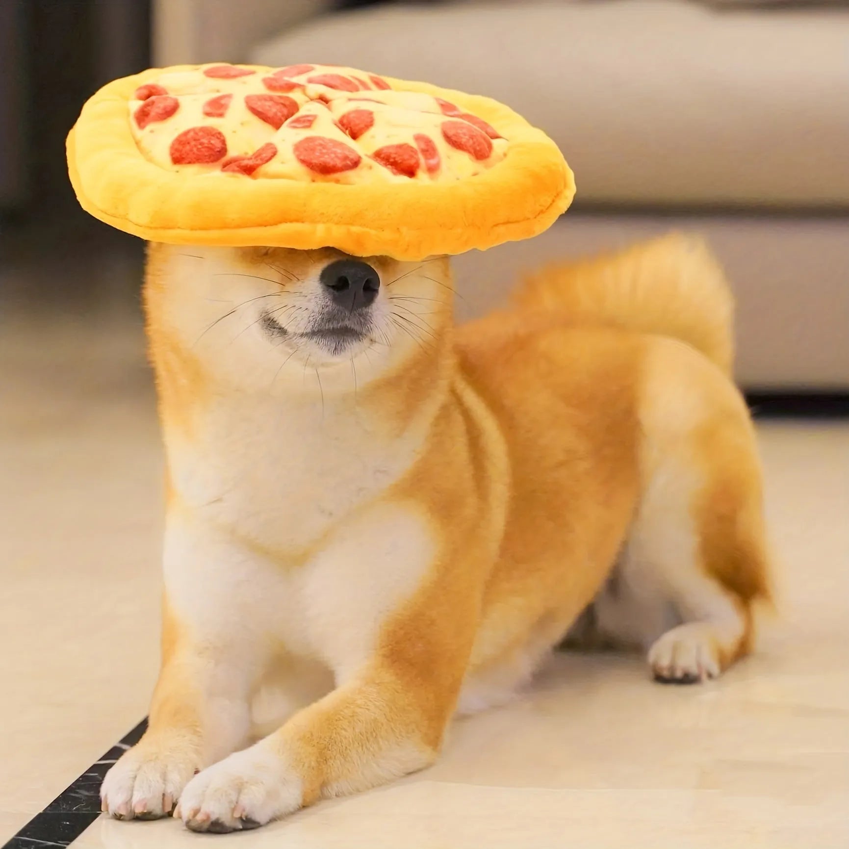 Yellow pizza design dog chewing toy with teddy bear motif measuring 20cm across