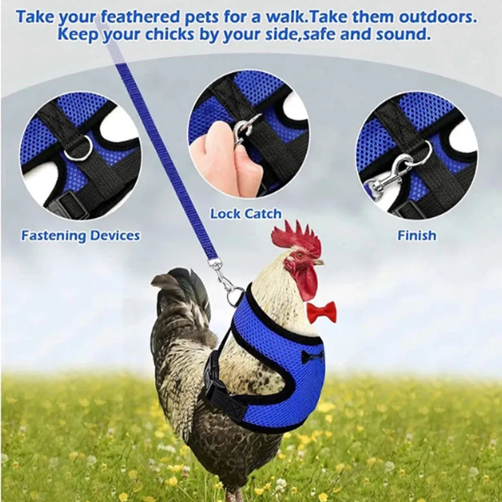 Poultry chicken vest and hen belt harness set with collars, bow, and traction rope for pet ducks.