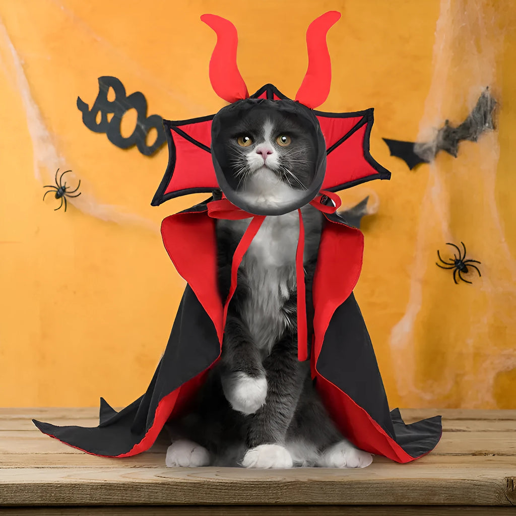 Black vampire costume for pets with cloak and hat for Halloween