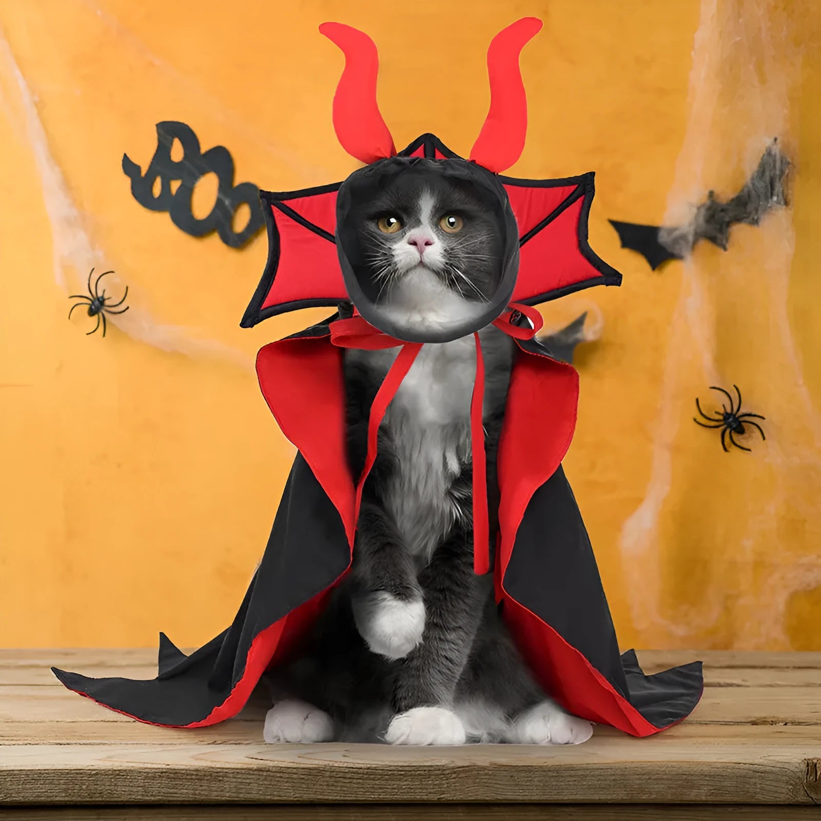 Black vampire costume for pets with cloak and hat for Halloween