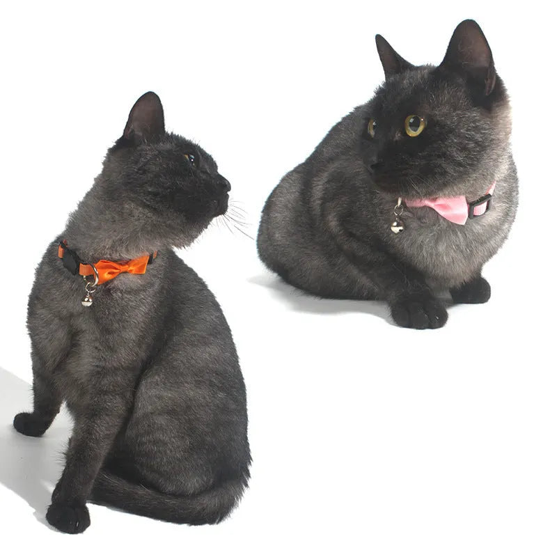 Adjustable nylon cat collar with decorative bow and bell in multiple colour options