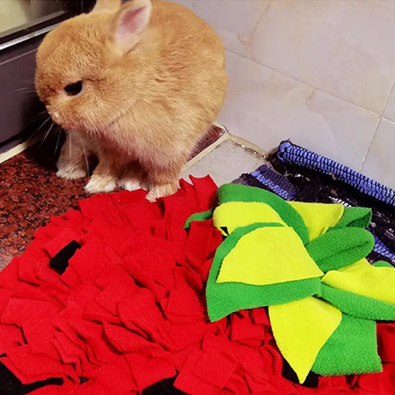 Red and green strawberry shaped pet slow feeder mat with textured foraging surface