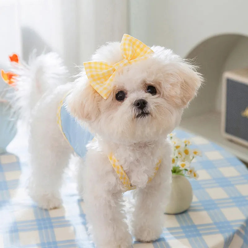 Small dog wearing a blue heart texture vest with bow suspenders and matching hairband