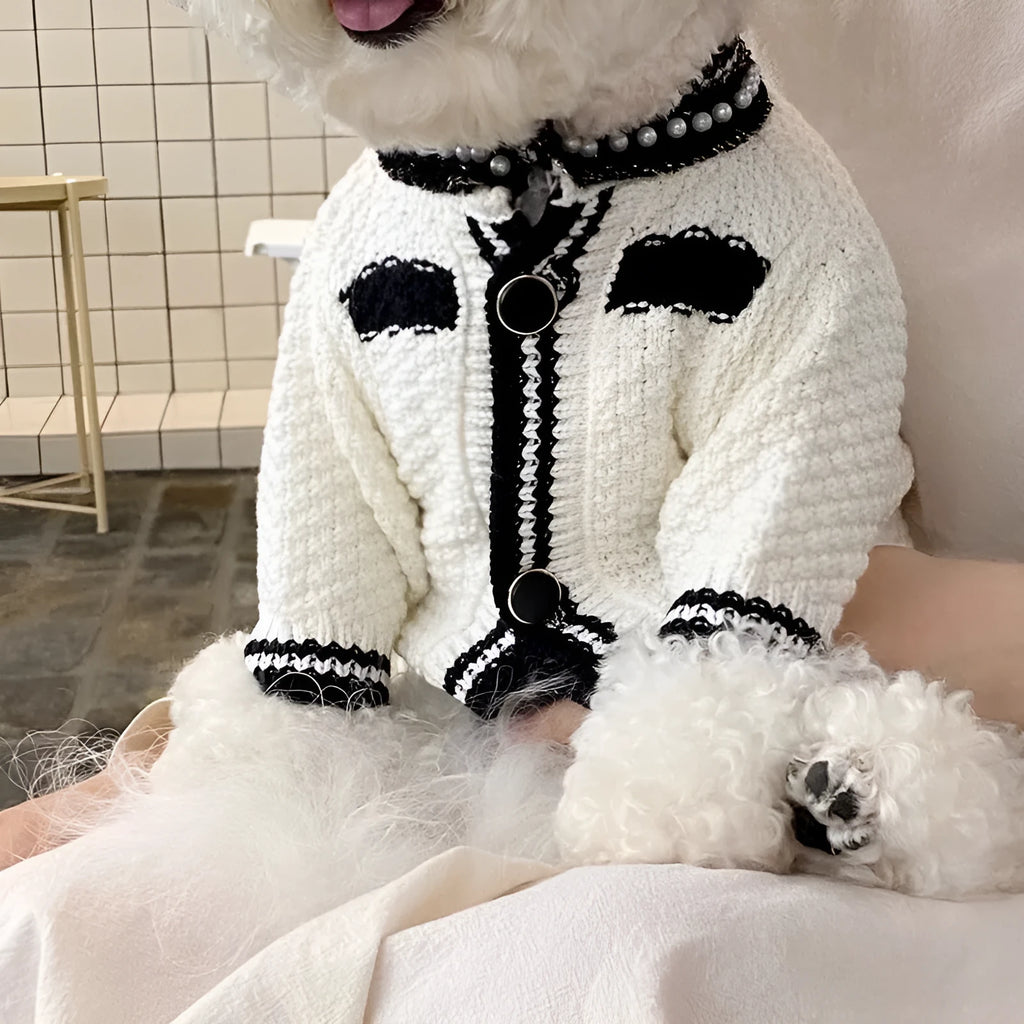 Korean style white puppy sweater with pearl collar detail on small dog