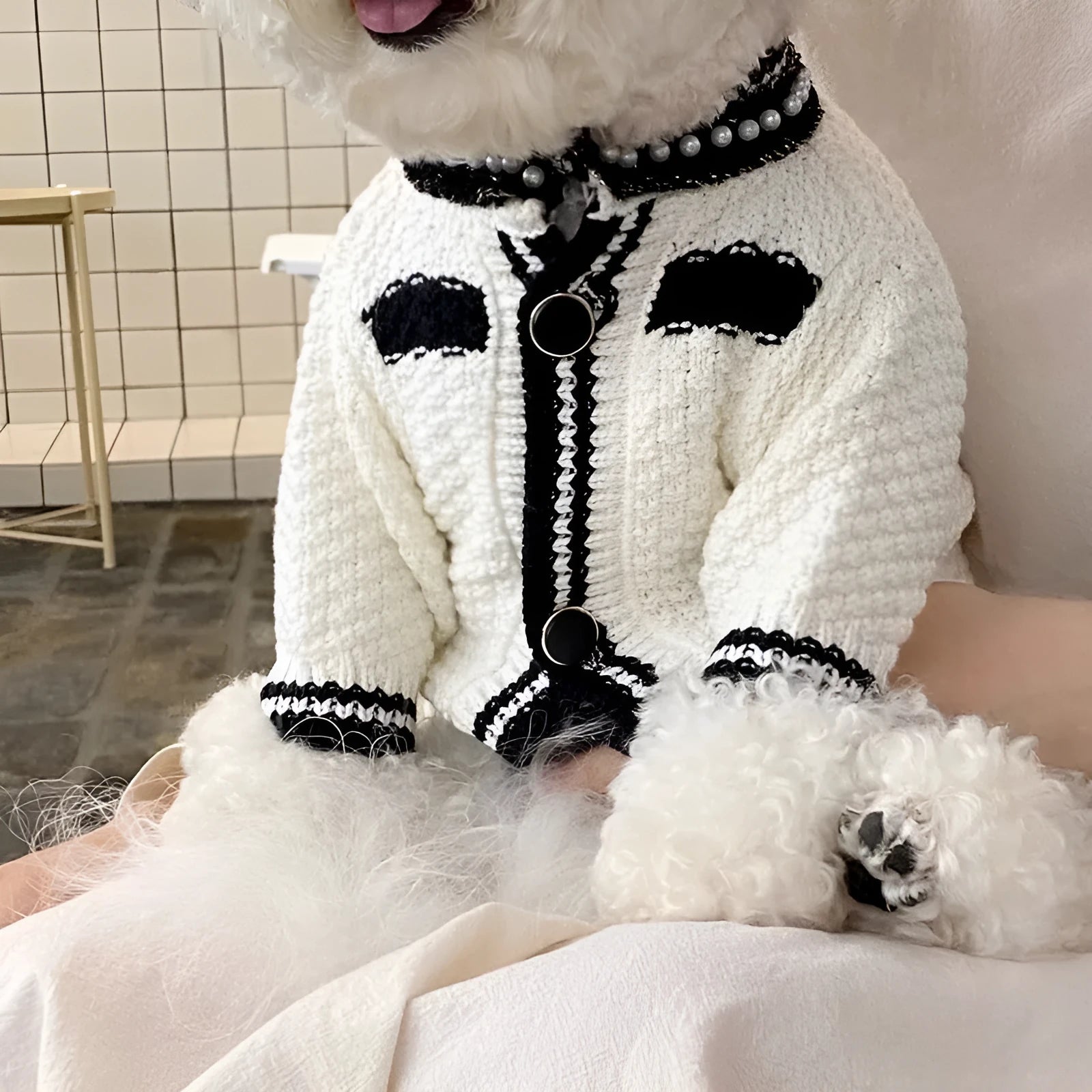 Korean style white puppy sweater with pearl collar detail on small dog
