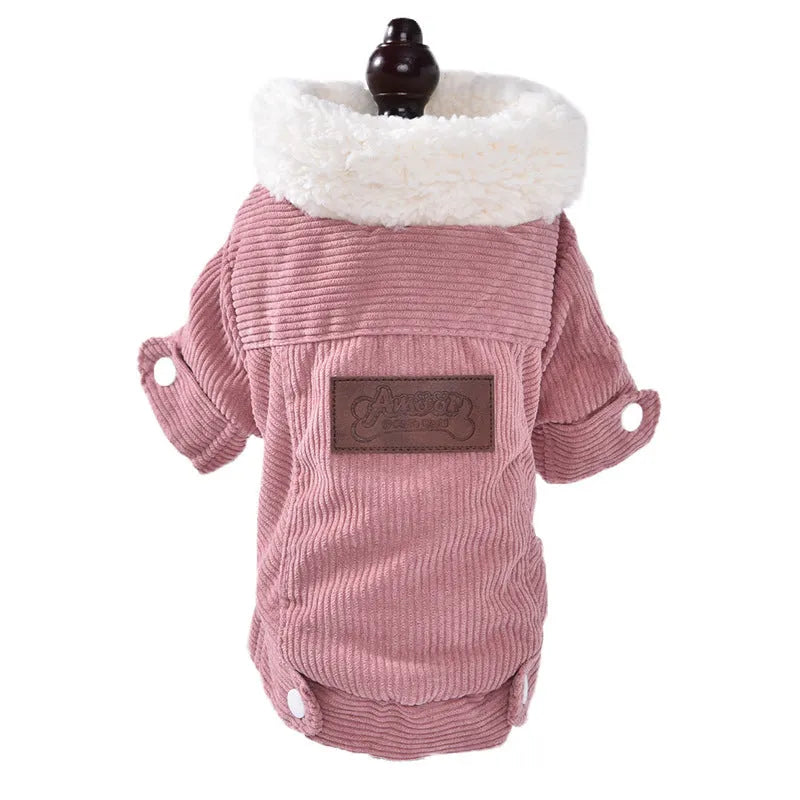 Dog wearing grey lambswool fleece-lined vest for autumn and winter warmth keeping
