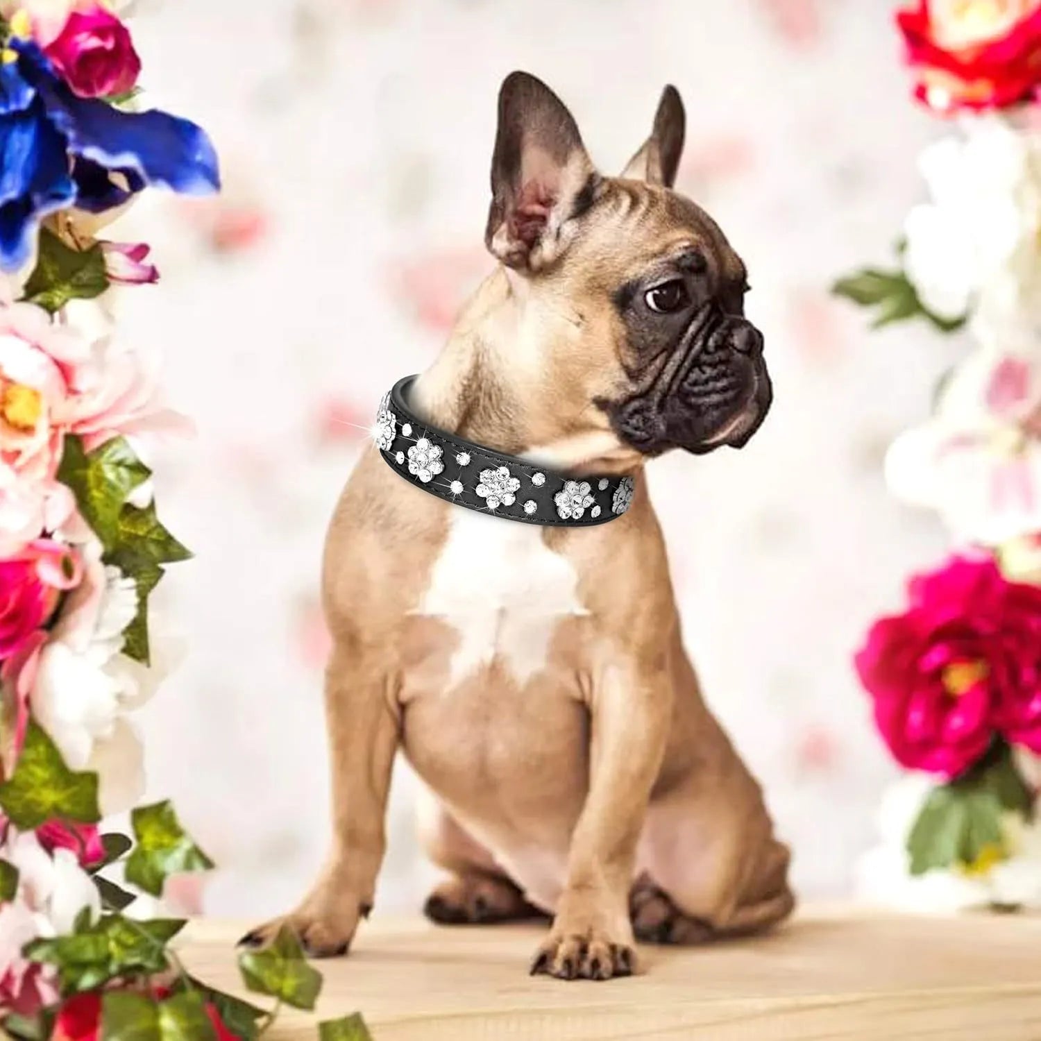 Rhinestone flower pattern studded PU leather dog collar in multiple colours for small medium dogs