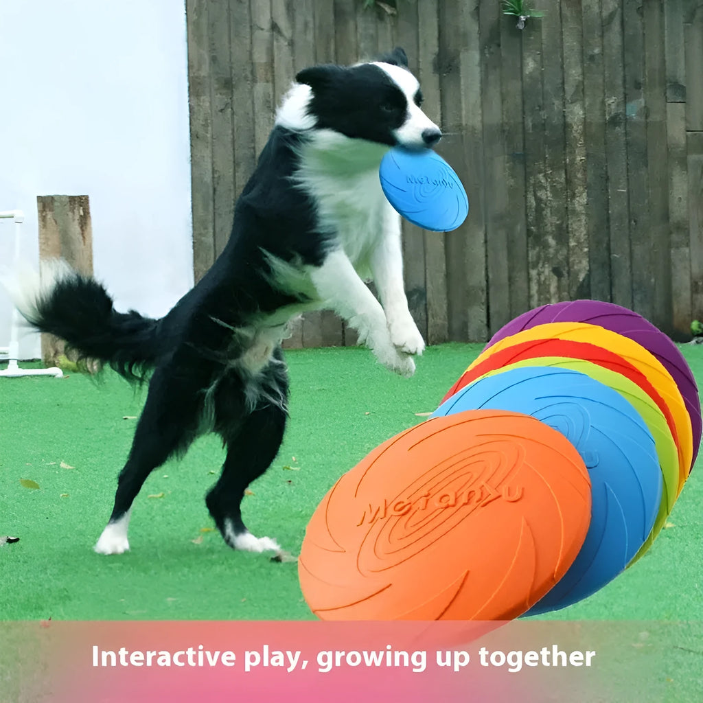 Soft rubber dog frisbee toy in blue colour showing flying disc shape for outdoor fetch games