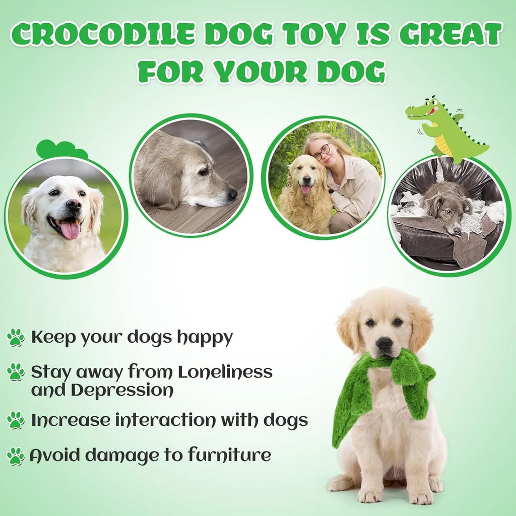 Green crocodile-shaped plush dog toy with no stuffing, featuring a squeaker and crinkle paper for interactive play.