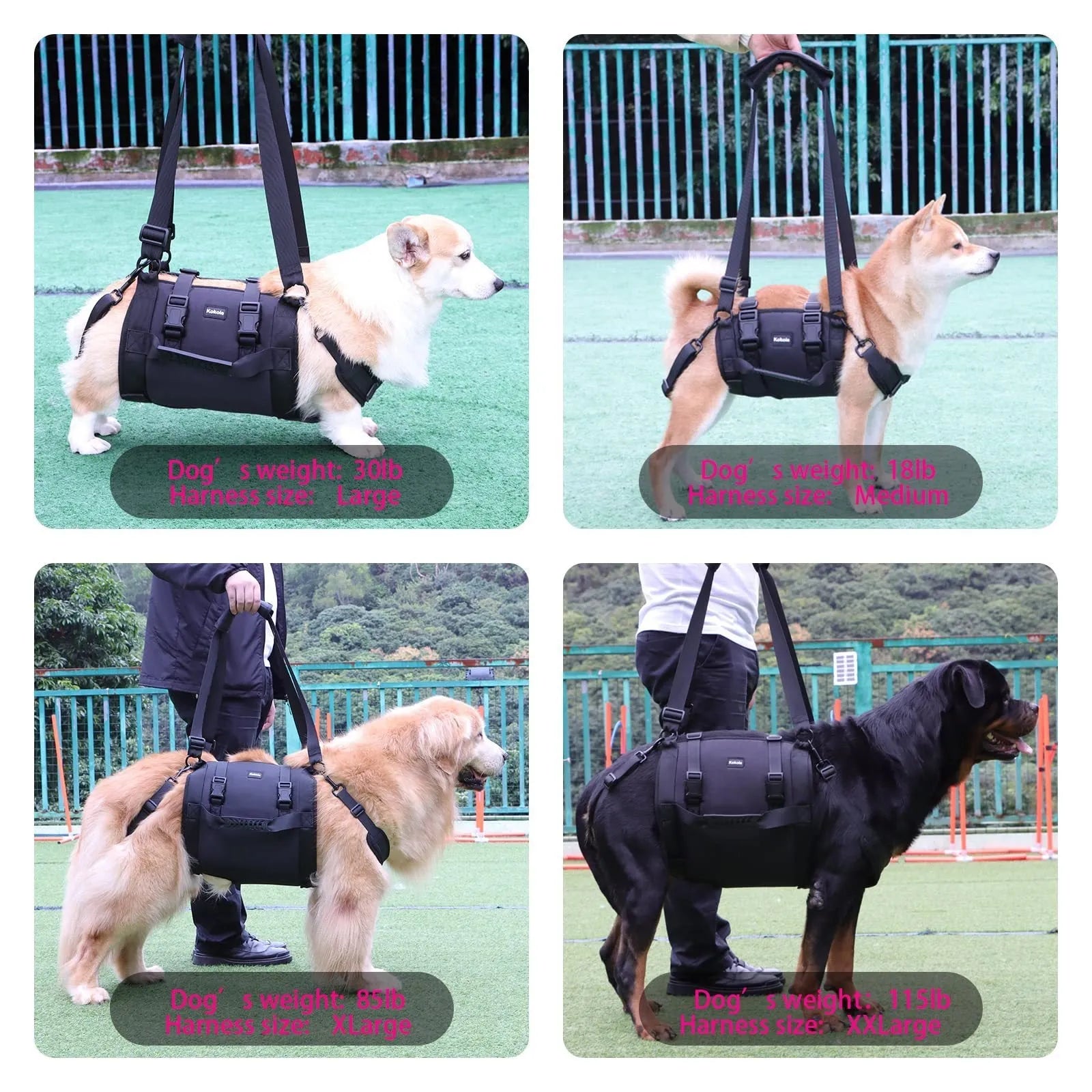 Black oxford cloth dog harness with chest strap and leg support for rehabilitation
