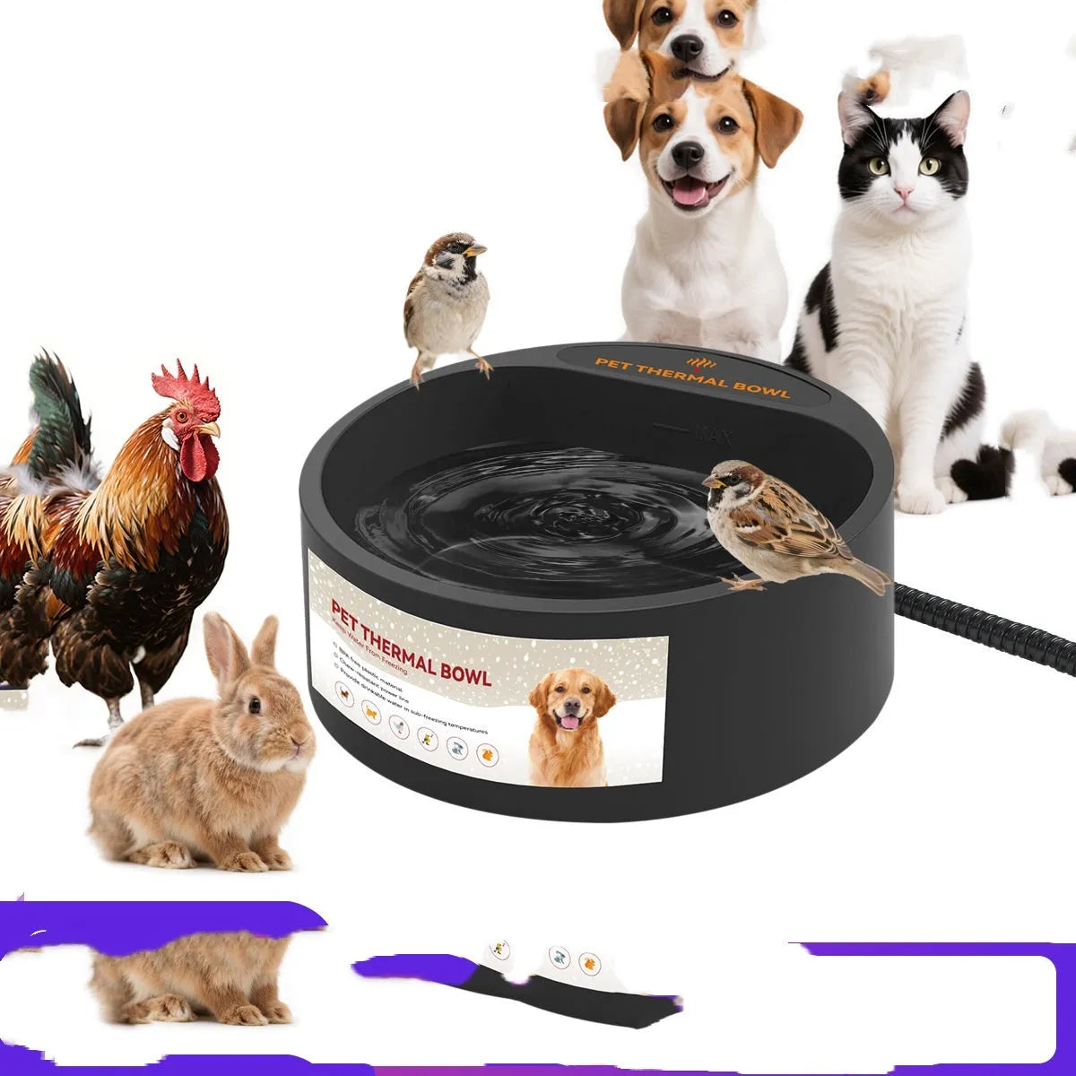 Black electric pet heating bowl with anti-slip base for cats and dogs