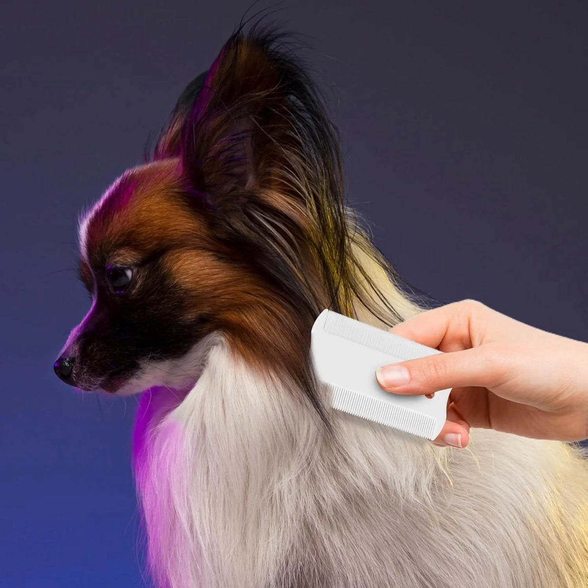 Double-sided plastic flea comb for pets showing dense teeth on one side and grate mouth design