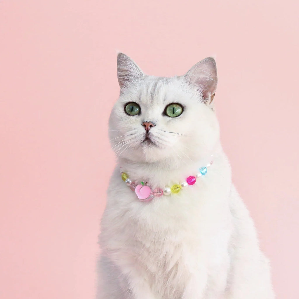 Colourful plastic bead pet necklace with adjustable sizing for small cats and dogs